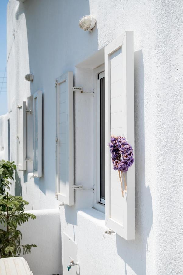 Spilia Apartments & Suites Mykonos Аграри Экстерьер фото